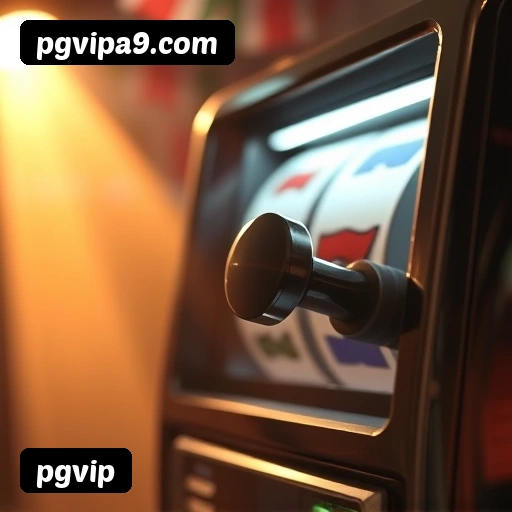 Níveis do programa VIP da pgvip